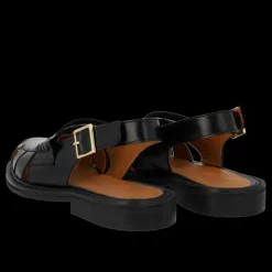 Angulus sandal