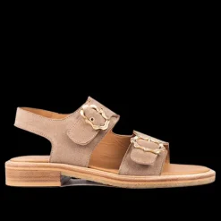 Angulus sandal